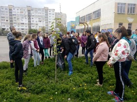  „Да нахраним дърветата“  - по инициатива на г-жа Лорита Радева за Ден на Земята -  22 април